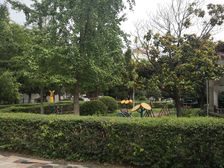 业主诚心出售,朝向好,楼层好,采光好