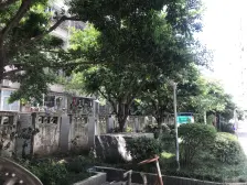 春晖路 松青大道60号二房47万