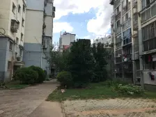 春晖园小区二区 南北通透,采光好 装修好,环镜优美 中间楼层