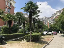 歌林春天 3室2厅2卫 南