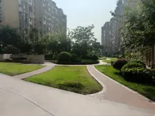 区府花园洋房,使用面积大,露台多,出行方便