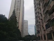 紫云好户型,单价低,朝南,全明,南北通。