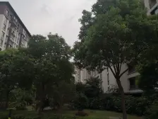 朗诗未来树 复式好房,送阳光房?送阁楼?送露台