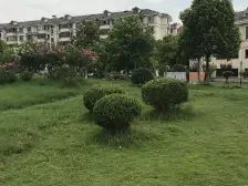 户型很好,南北直通,采光好。阁楼可做两个朝南房间