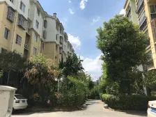 城东花园(隆祥花园) 南北通透,采光好 视野好,诚心出售