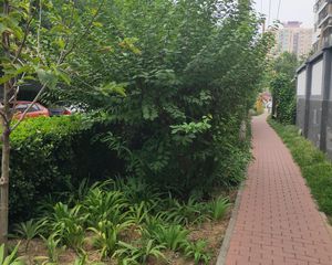 陶然亭·姚家井小区·1室·1厅