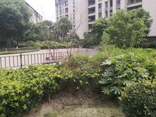 三期电梯三房丨价格可谈丨税费各付丨位置好方便看房