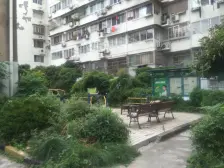 柳林公寓 3室1厅 南