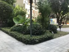 大渡口步行街旁+次新小区蓝光+朝南+采光好