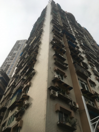 龙家秀色