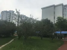 刚需上车 无抵押,产权清晰,新上房源