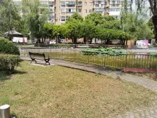 顾村·环绿国际·5室·2厅