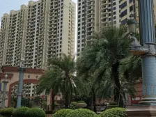 名巨中央南北对流3房,看花园景观