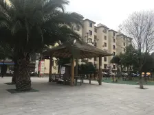 无抵押,电梯房,刚需上车,必看好房