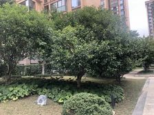 精装三房,看房方便,中科院教育,楼层好视野开阔