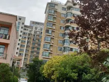 金领时代 4室2厅 东南