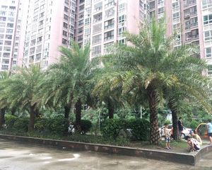 东峰世纪公寓精装靓房没抵押拎包入住