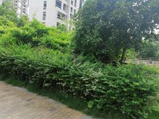 嘉定新城·风荷丽景尚城(西区)·2室·2厅