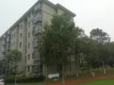 白玉兰获奖小区,临港新片区,小面积一室户