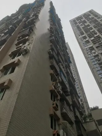 龙家秀色