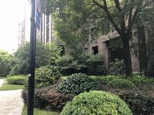 诚心出售,帝奥别墅满二为大税,采光无遮挡!