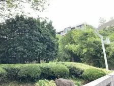 复地北桥城(都市路399弄)(别墅) 3室2厅 南