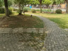 顾村板块一房必看,配套成熟,南向采光好,商品房