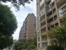 临港飞机户型,满五年,小区带人工湖环境好,低总价