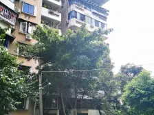 观音桥 鲤鱼池三村二房61万