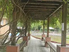 入住快,电梯房,产权清晰 新上房源