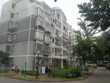 新芦苑 2室1厅 南