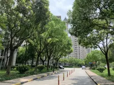 颛桥·君莲幸福苑·2室·1厅