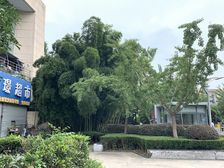 复地北桥城复地一期经典联排边套,送车库和车位,花园大,