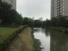 人车分流小区,环境优美,户型双南一北,可看可谈!