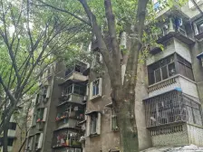 鲤鱼池三村 2室1厅 南