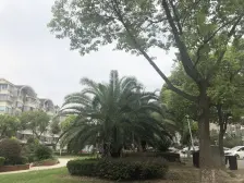 罗溪花苑1室南朝向100.00万元/套出售