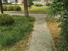 2+1户型 好楼层 视野开阔 正对水景!