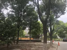 飞机户型大三房丨采光通风好丨装修保养好丨拎包入住