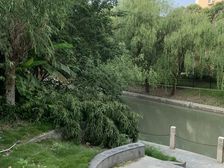 巴黎风情新上电梯高区,景观好,视野宽广
