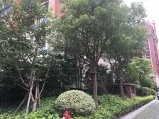 唐镇·保集澜湾(一期)·5室·2厅
