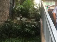 中山四路小区,电梯房,居家安静,采光好,得房率高