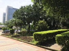 稻花村四房,业主诚意出售,看房方便