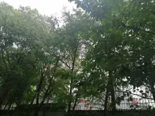 南北通透大两房,远香湖旁,西云楼边