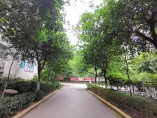 凤凰花苑 4室1厅 南