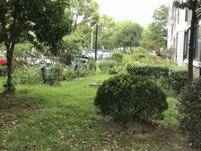全南户型,大开间,靠近花园,品质小区