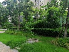 嘉定新城·风荷丽景尚城(西区)·3室·2厅