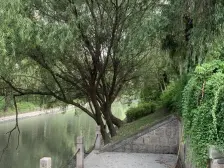 名仕世家花苑 3室2厅 南