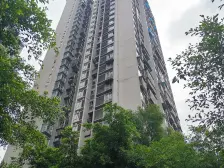 凤凰花苑 2室2厅 西北