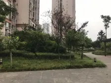 轨道房 3房2卫 单价6000拎包入住 电梯房