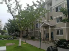 新芦苑 3室2厅 东南